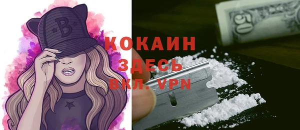 спиды Бородино