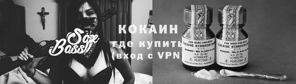 спиды Бородино