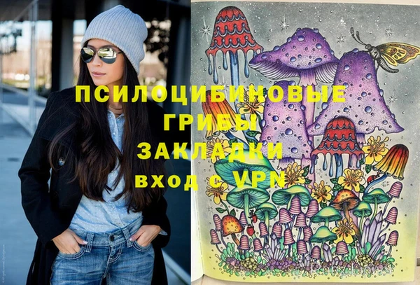 шишки Богородск