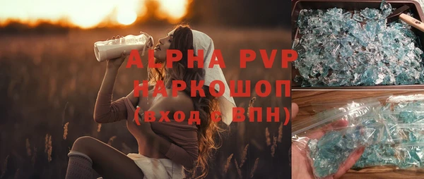 спиды Бородино