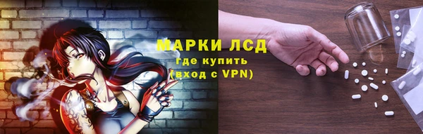 спиды Бородино