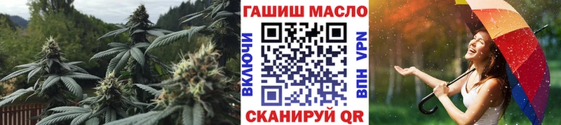 ссылка на мегу ссылка  закладки  Миньяр  Дистиллят ТГК гашишное масло 